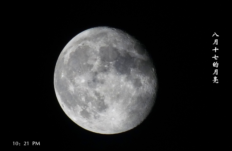 dsc07100_conew1_.jpg
