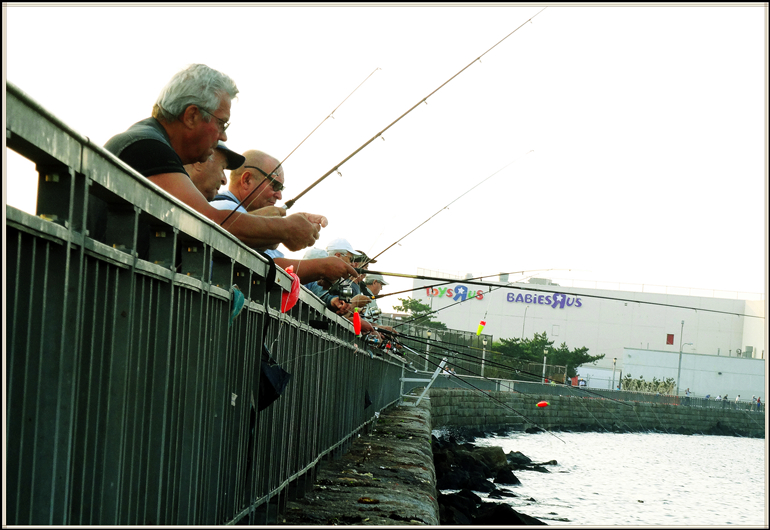 DSC07020_.jpg