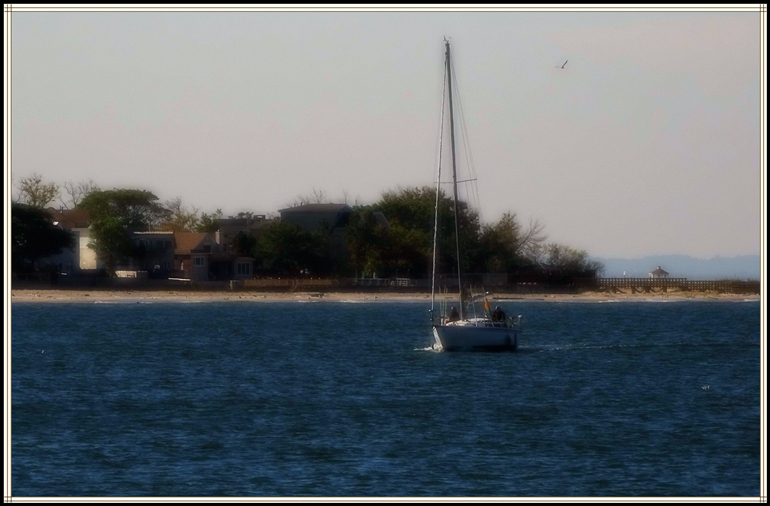 DSC00998_.jpg