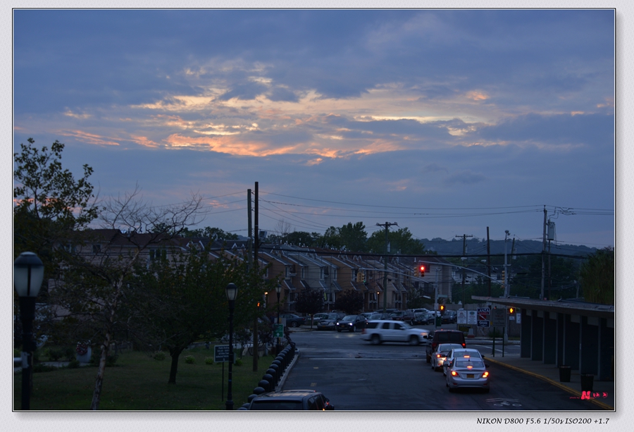 DSC_5533_.jpg