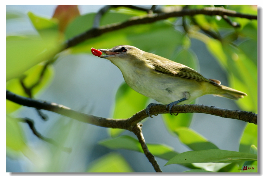 DSC_6386__.jpg