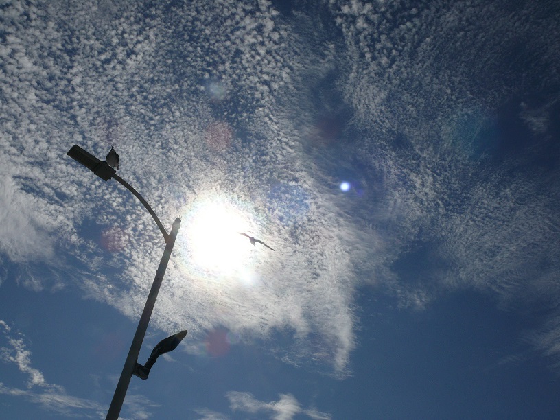 L1640670.JPG