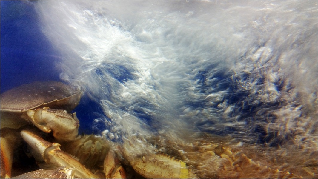20140914_193454_conew1.jpg