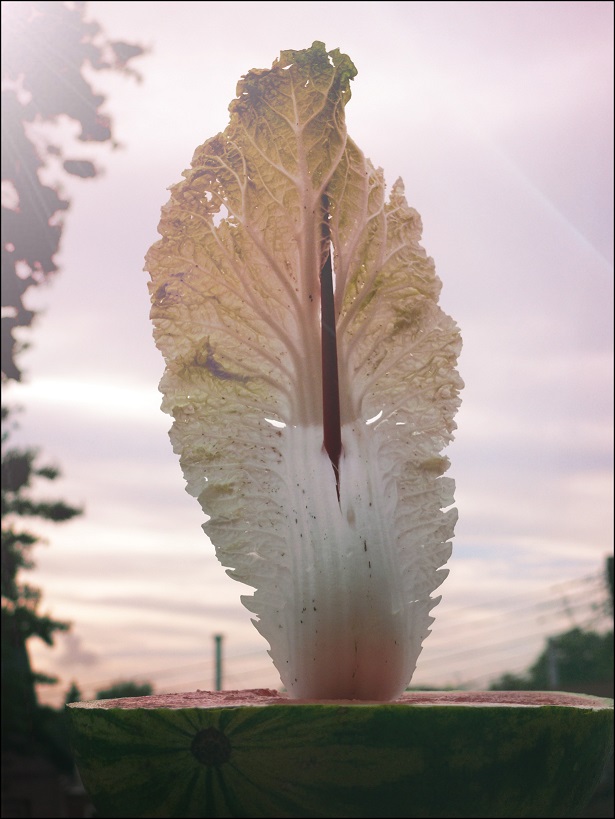 l1650478_conew1.jpg