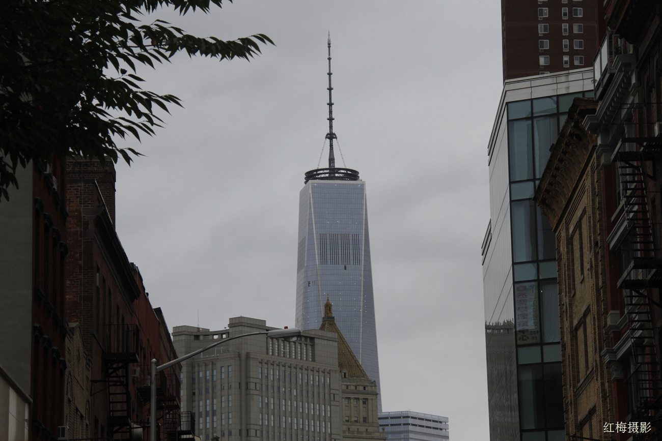 _MG_0002.JPG