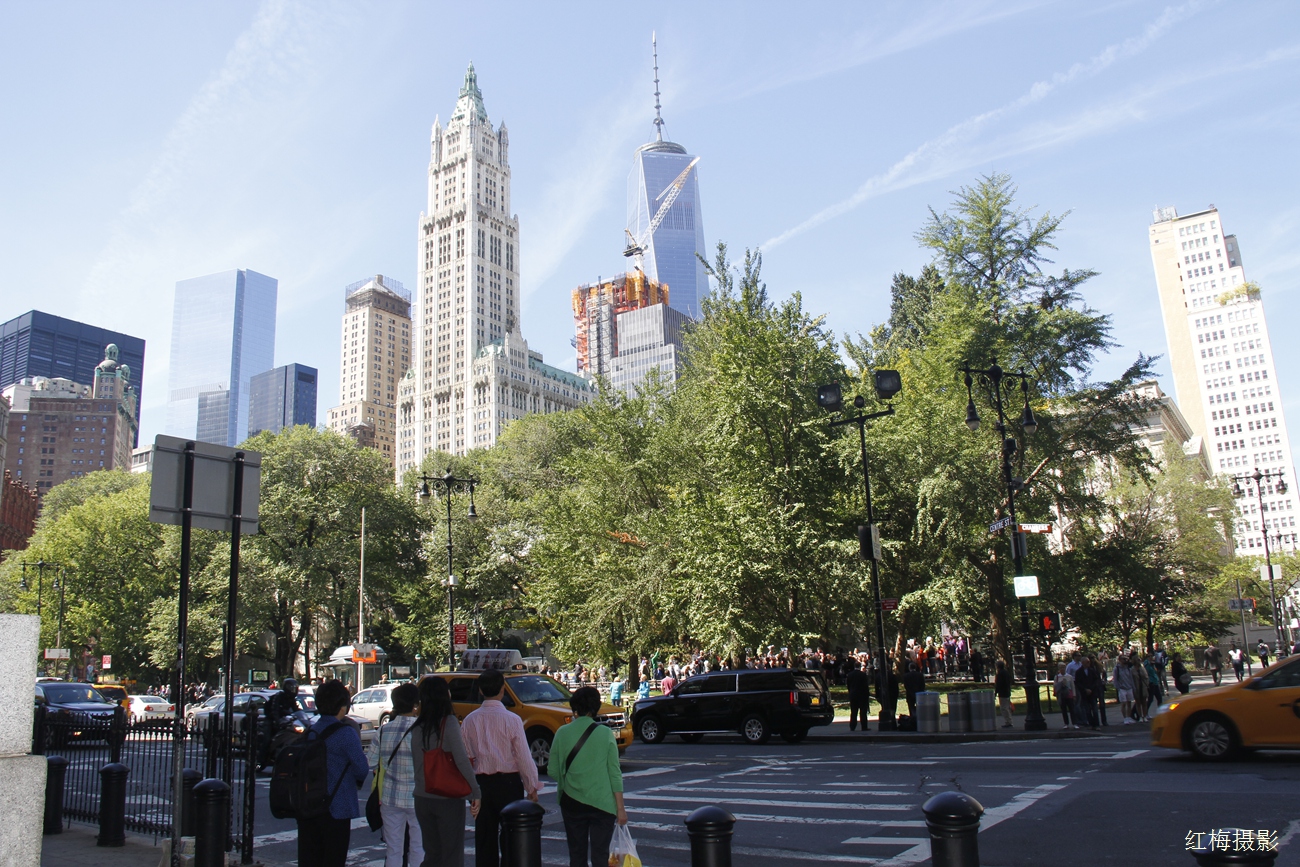 _MG_0416.JPG