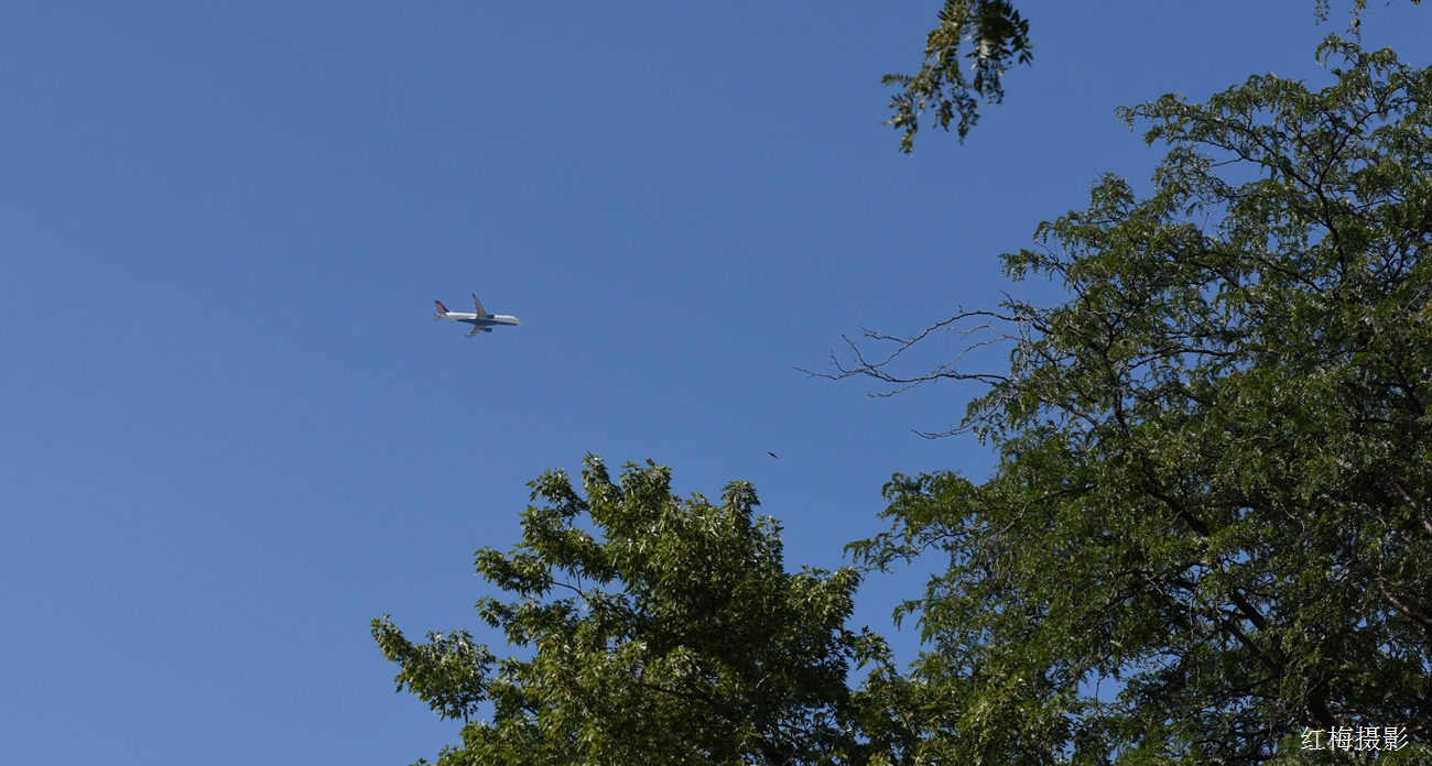 DSC_0341.JPG