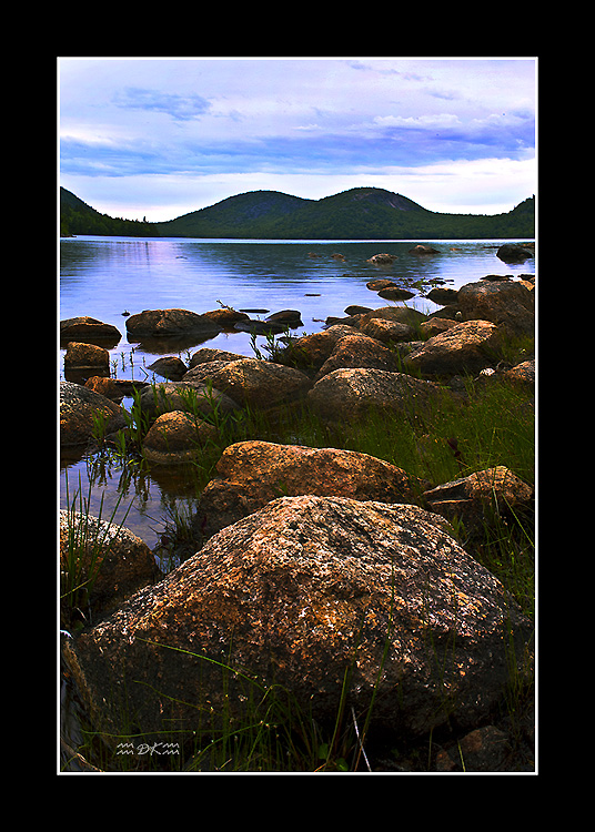 _DSC9394C1.jpg