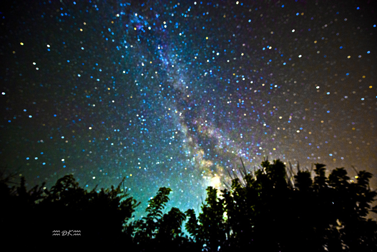 DSC_7762C.jpg