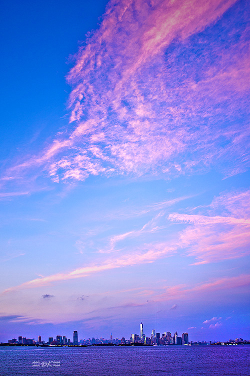 DSC_8175C1.jpg