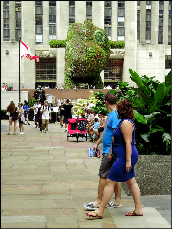 DSCN4247.jpg