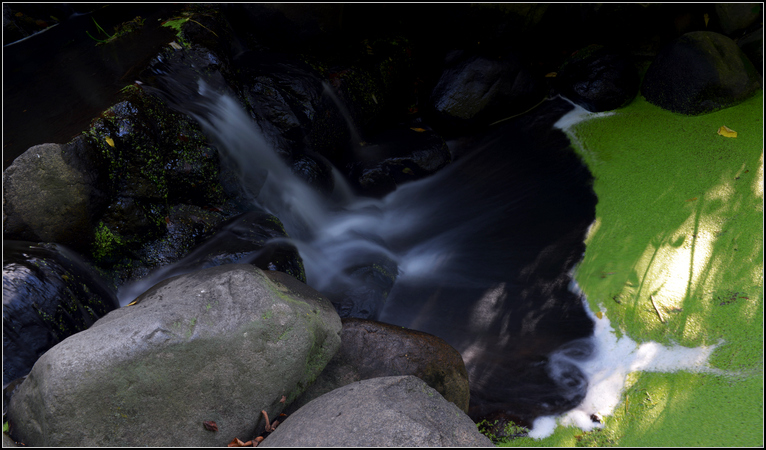 DSC_1657.jpg