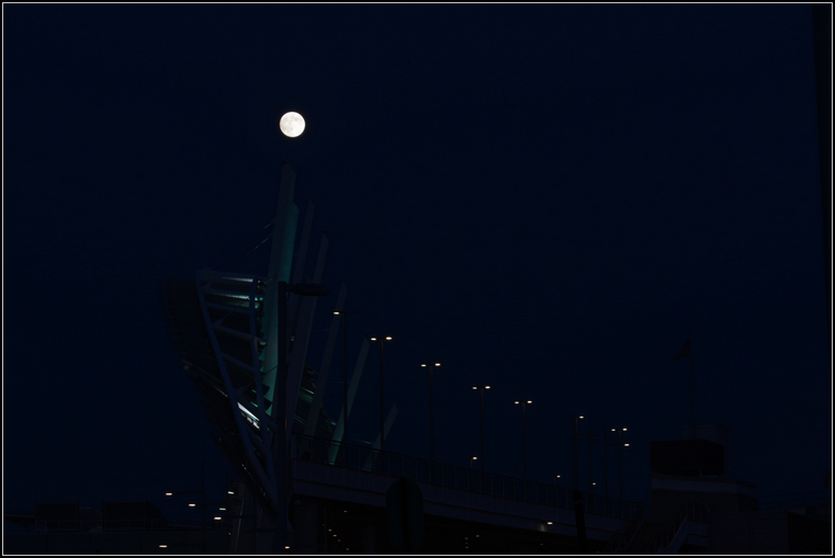 DSC_5483.jpg