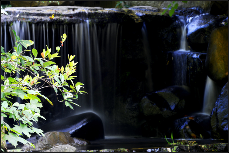 DSC_1703.JPG