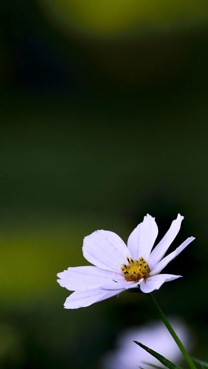 _DSC2362_1_01.JPG