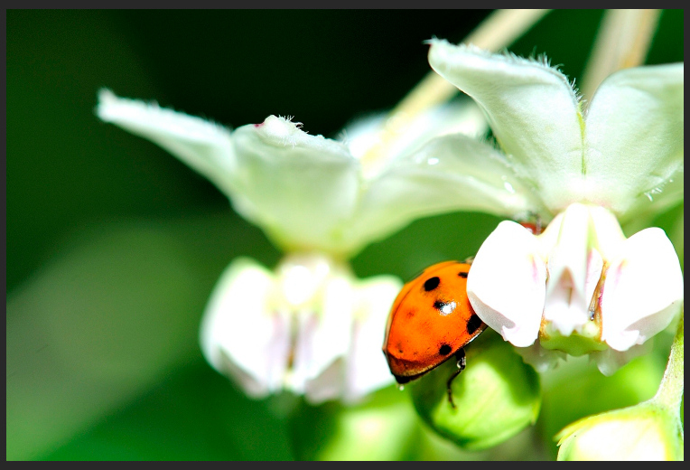 _DSC8886_01.JPG
