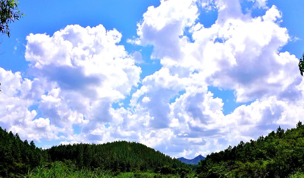20140902_142515.jpg