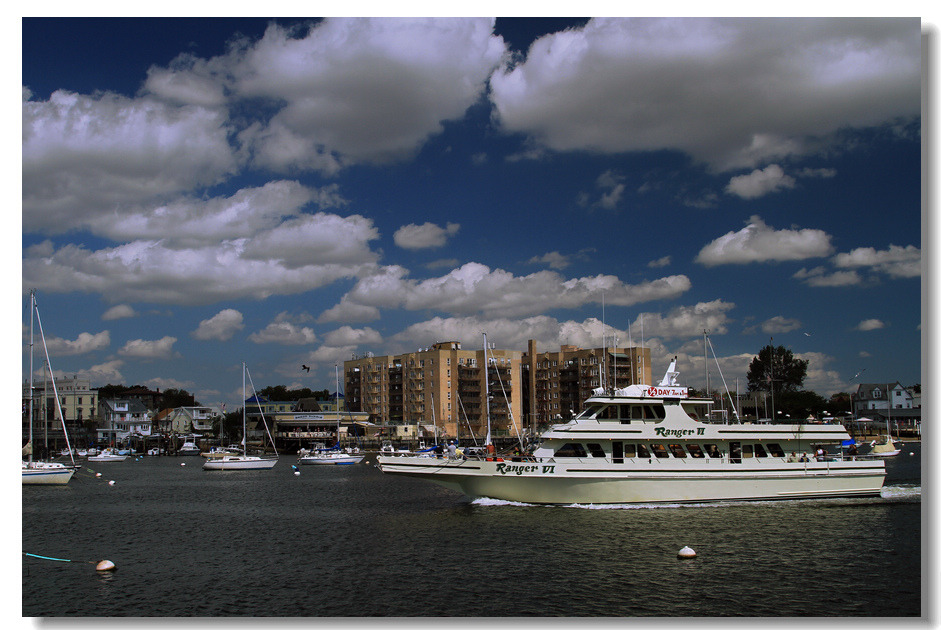 IMG_1310.jpg