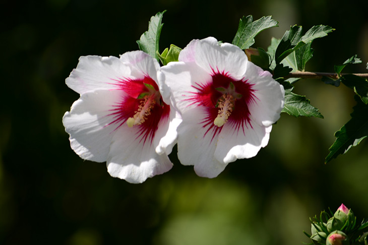 DSC_3819_.jpg