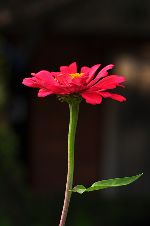 DSC_0185_.jpg