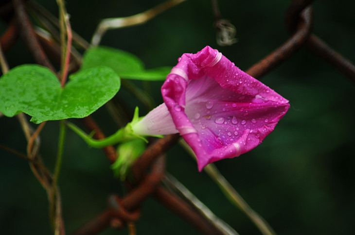 DSC_0706_.jpg