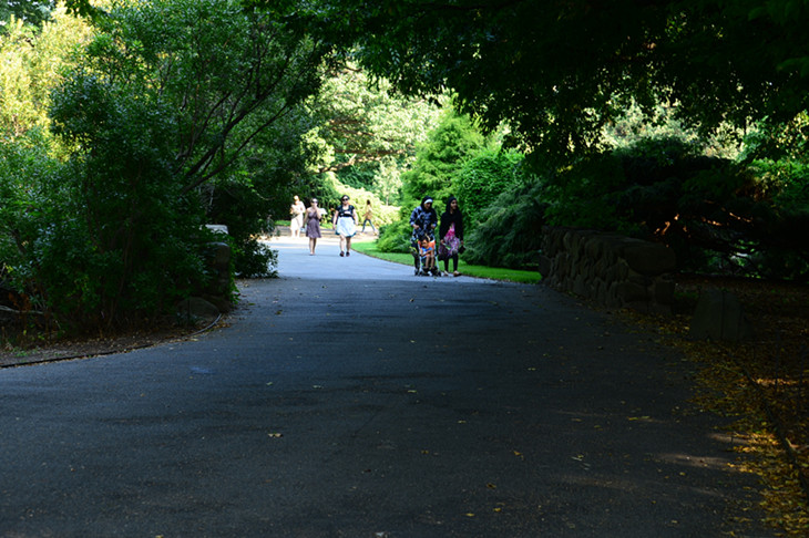 DSC_3089_.jpg