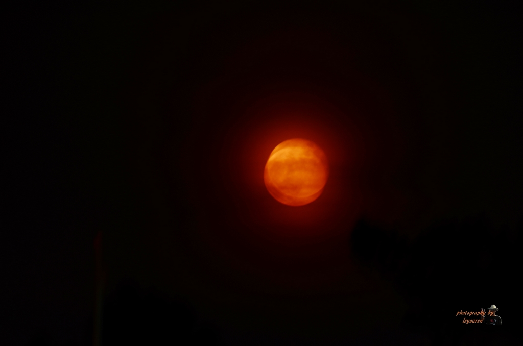 DSC_3948.jpg