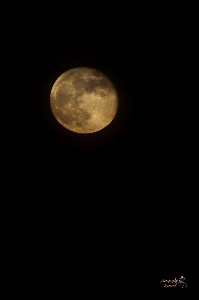DSC_3961.jpg