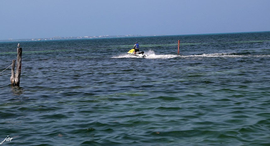 IMG_4883=.jpg