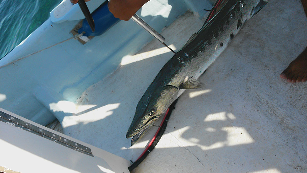 20140823_082814-a.jpg