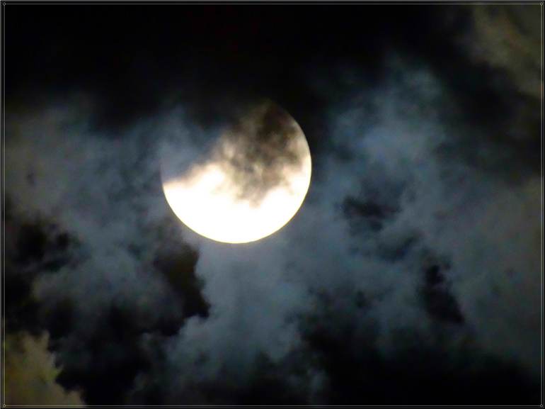 DSC07483_.jpg