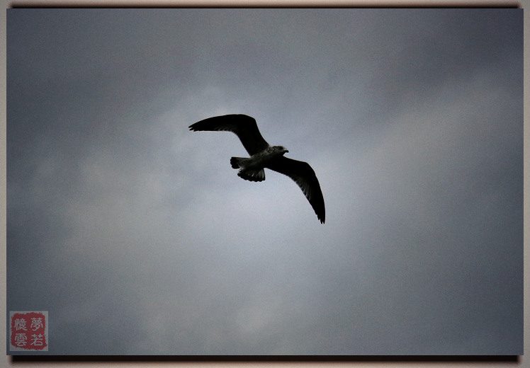 20140913 092_.jpg