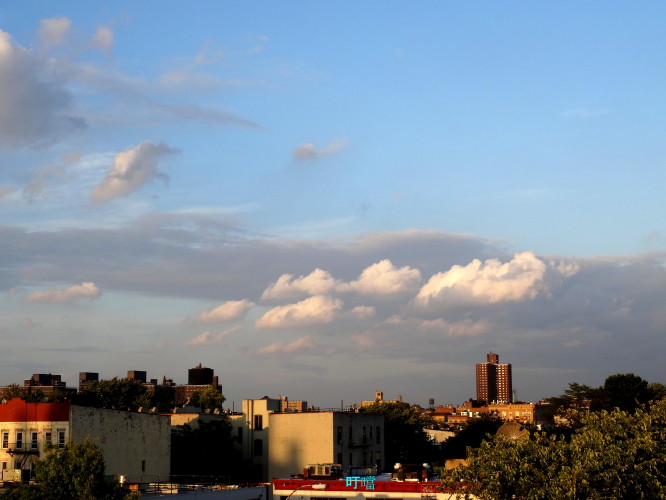 DSC03307a_1.jpg