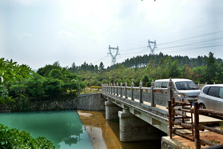 DSC_3019_conew1.jpg