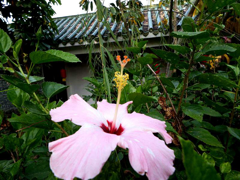 DSCF6351.jpg
