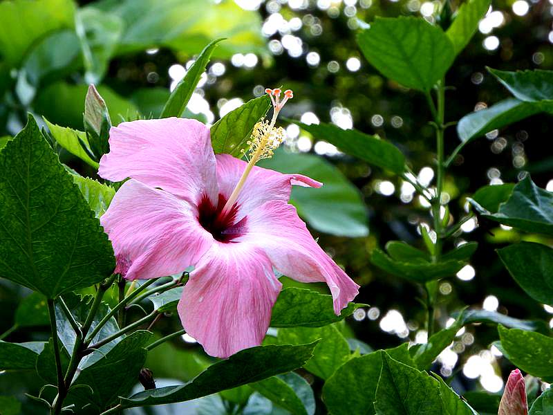DSCF6346.jpg