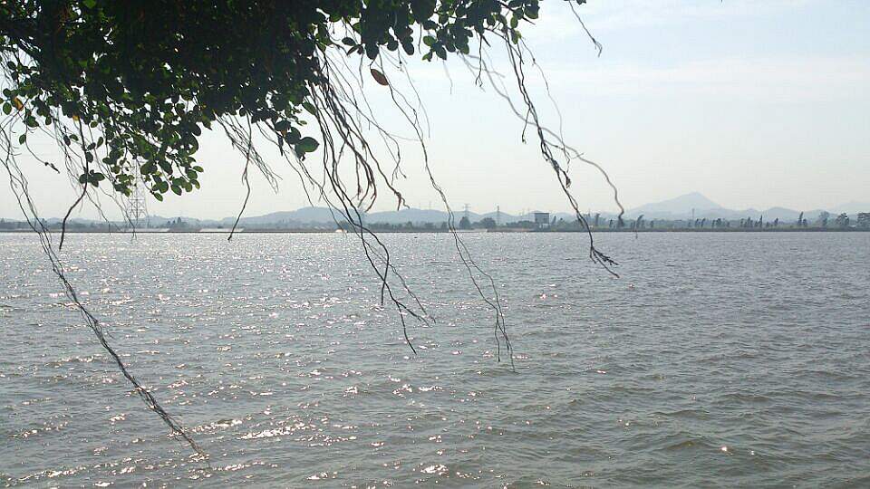 TMG_1027.jpg