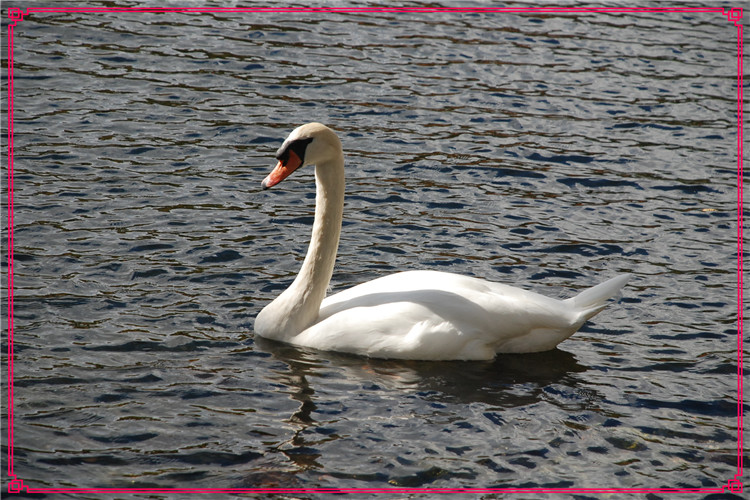 DSC_0030.jpg