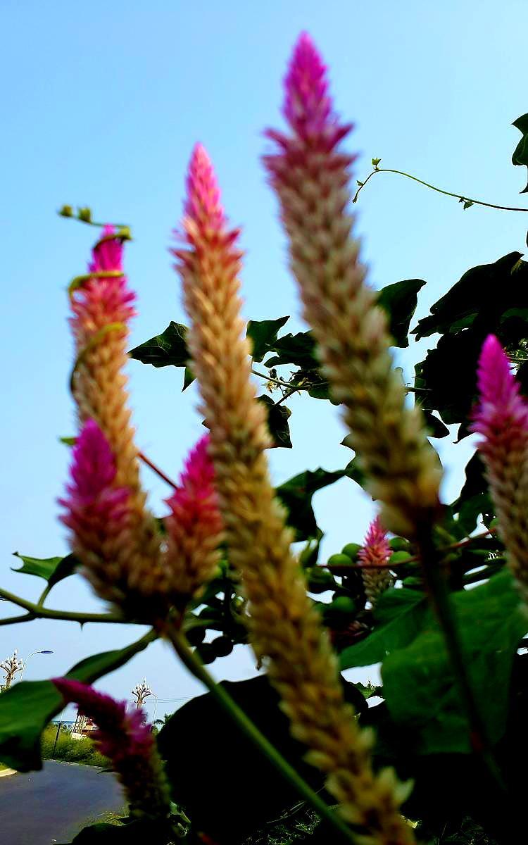 20141022_144726.jpg