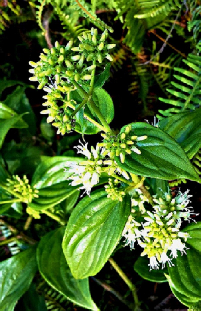 20141015_152321.jpg