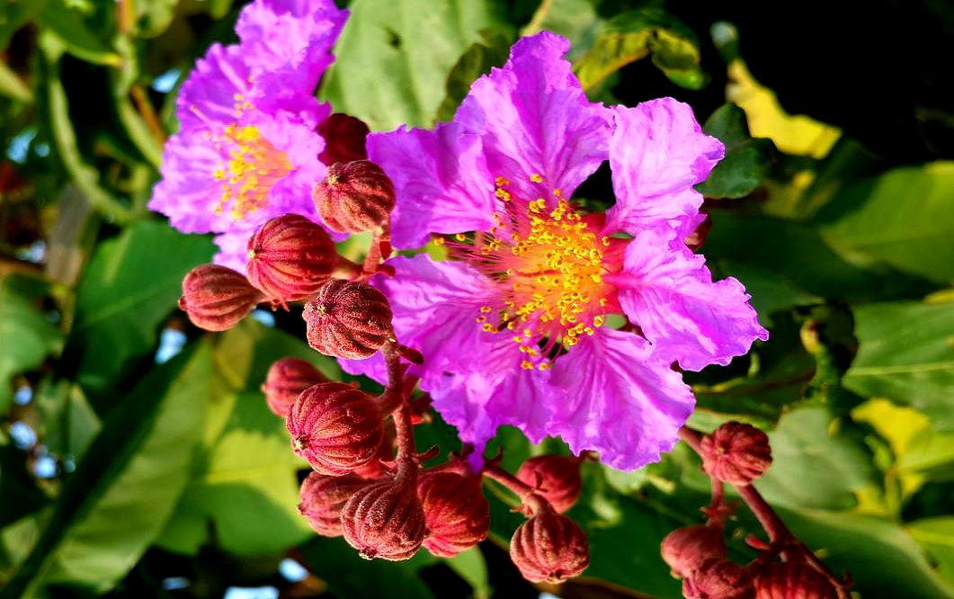 20141022_151204.jpg