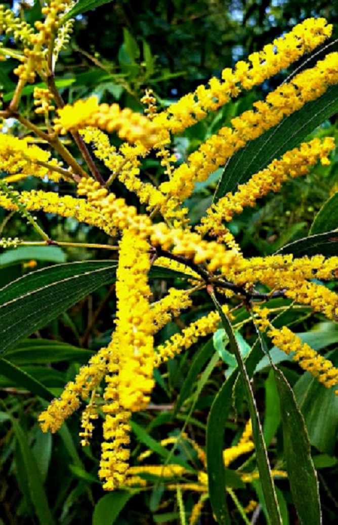 20141015_150229.jpg