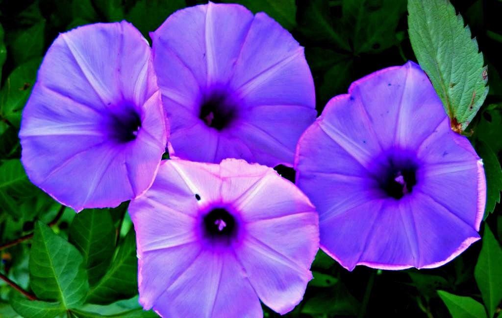 20141015_145015.jpg