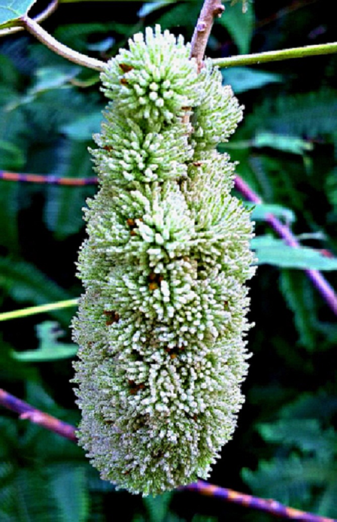 20141015_150025.jpg