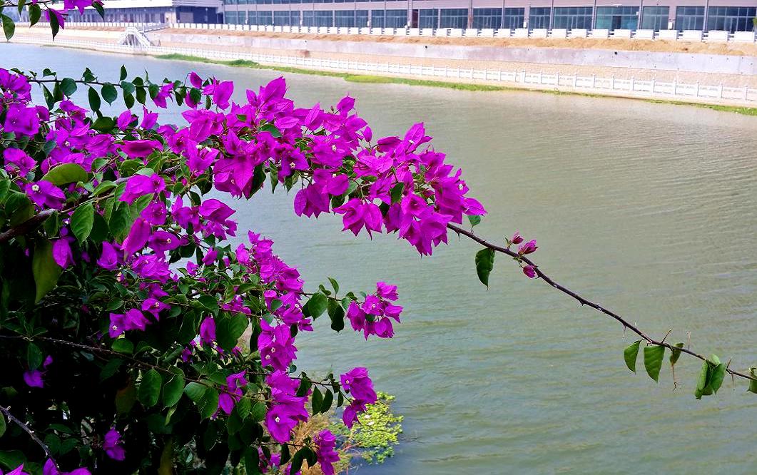 20141022_144211.jpg