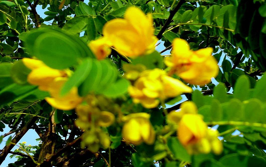 20141022_144453.jpg