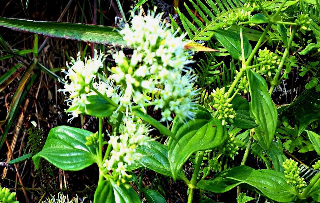 20141015_152315.jpg