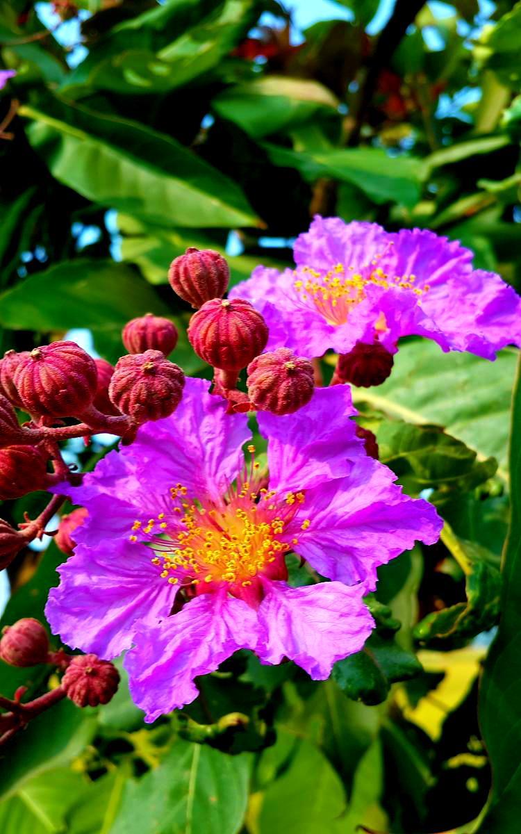 20141022_151156.jpg
