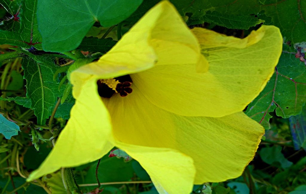 20141015_143439.jpg