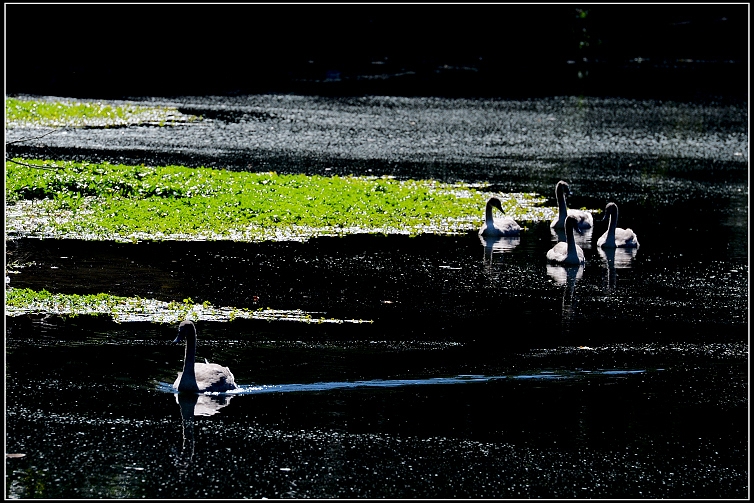 DSC_5494.JPG